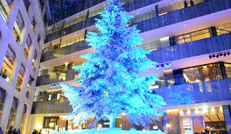 「KITTE」のクリスマスイルミネーションがスタート！　屋内としては日本最大級の高さ14.5メートルの巨大ツリーがそびえ立つ（C）oricon ME inc. 