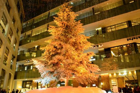 「KITTE」のクリスマスイルミネーションがスタート！　屋内としては日本最大級の高さ14.5メートルの巨大ツリーがそびえ立つ（C）oricon ME inc. 