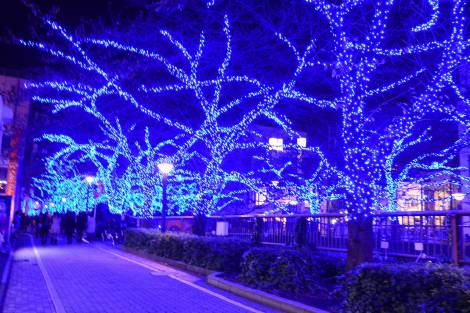 画像 写真 青色も初実施 目黒川沿いにブルー ピンクの艶やかイルミ 5枚目 Oricon News