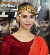 �y����z����A���[�A����I��Ƃ̌����u�킩��Ȃ��B�p���������`�v 