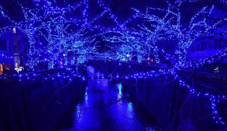 土日の点灯中止が発表された中目黒（東京・目黒区）目黒川沿いで展開されている初のイルミネーション「Nakameguro 青の洞窟」 