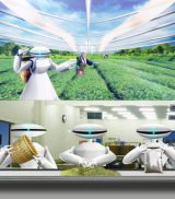 �G�v�\���l�C�A�j���[�V�����V���[�Y�ŏI��A���{�e�B�N�X�Z�p�ɂ�関���̎Љ�Ƃ�? 