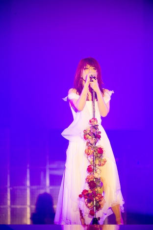 wayumi hamasaki ARENA TOUR 2015 A Cirque de Minuit`^钆̃T[JX`x(12A܃X[p[A[i)  