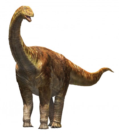恐竜の巨大化の謎にせまる メガ恐竜展15 開催 Oricon News