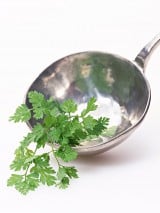 �n�}�鏗������ �p�N�`�[�D���u�p�N�`�X�g�v������ 