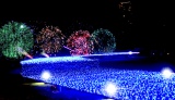 東京ミッドタウン初の夏イルミネーション「SUMMER LIGHT GARDEN（サマーライトガーデン）」が17日より開催 （C）oricon ME inc. 