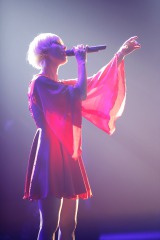 �ؑ��J�G���A�u�䕗�ɂ��������v�a���Ŗ������C�u 