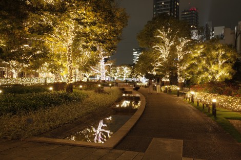 11月12日よりスタートする東京ミッドタウンのクリスマスイルミネーションイメージ／ツリーイルミネーション 