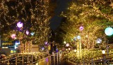 新宿テラスシティ（東京・新宿／渋谷）のクリスマスイルミネーションが11日よりスタート （C）oricon ME inc. 