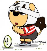 ���Z���O�r�[�S�����A�����l�b�g�z�M�g��� 54������23���� 