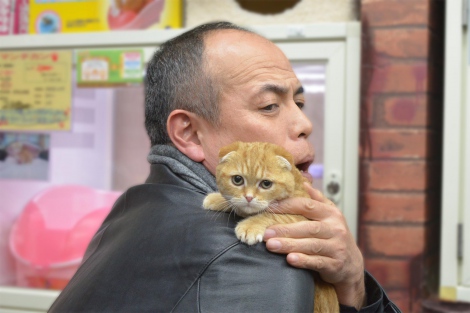 画像 写真 田中要次 猫萌えドラマ 撮影中も子猫にメロメロ 2枚目 Oricon News