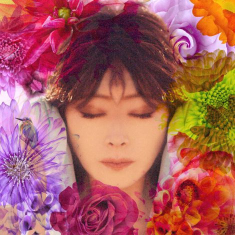 オリコン】“歌姫健在”中森明菜、新アルバム20年半ぶりTOP10 | ORICON NEWS