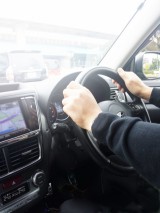 �m���ē�����y�����ԕی��z �����b�g�����́u�l�g���Q�⏞�v�Ƃ�? 