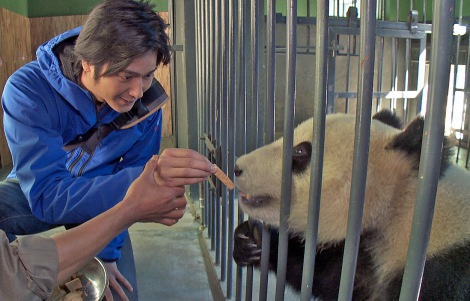 画像 写真 速水もこみち 絶滅危惧種ジャイアントパンダの保護活動に 心打たれた 3枚目 Oricon News