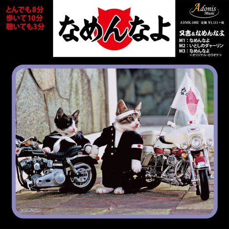 なめ猫 なめんなよ 初cd化 ブーム再燃の兆し Oricon News