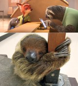 �i�}�P���m���_�ώ@�@�j�R����7���Ԑ����p 