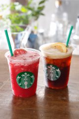 �X�^�o�A�V���o�u�V�F�C�N���v�ɐV�t���[�o�[ 