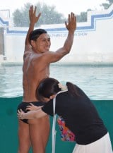 �����t�@���ɂ������G����t�� �iC�jORICON NewS inc. 