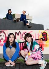 �`���b�g�����`�[�A8�N�Ԃ�f����̏������낵�@�w�A�Y�~�E�n���R�͍s���s���x 