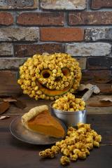 �p���v�L���p�C���|�b�v�R�[����! �M�����b�g�̃n���E�B������t���[�o�[ 