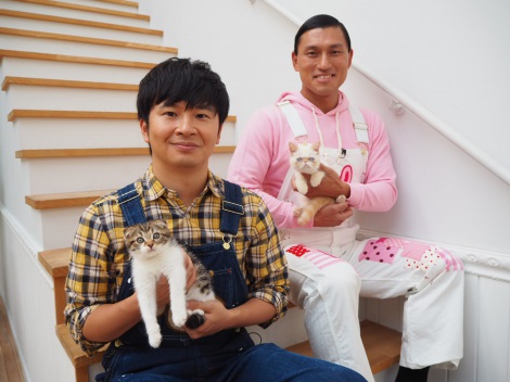オードリーの動物バラエティー新番組は かわいいものしか映っていない Oricon News