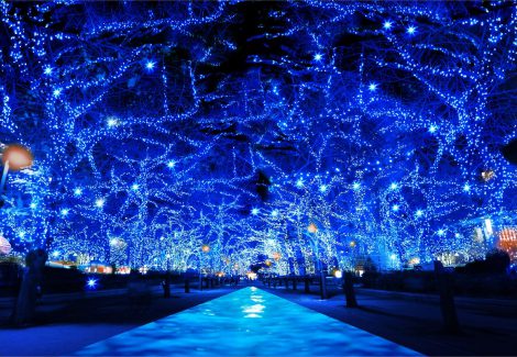2014年に開催し好評を博した冬イルミ企画「青の洞窟」が2年ぶりに渋谷で復活 