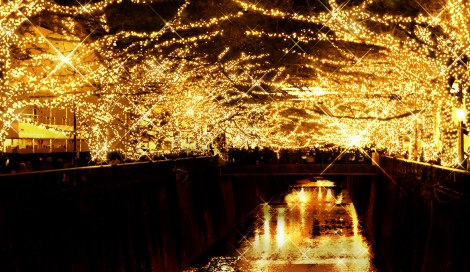 今年はオレンジゴールド色に　／中目黒（東京・目黒区）の目黒川沿いイルミネーション『NAKAMEGURO JEWEL DOME 2016』 
