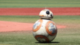 �X�^�[�E�E�H�[�YBB-8�A�n�}�X�^�Ő��E���n���� ����������͂��Ⴌ 