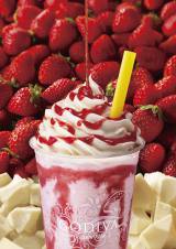 䕁~�z���C�g�`���R�����\! �V���R���L�T�[�l�C1�ʂ����Ԍ���ŕ��� 