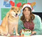 �g�c���ۗ��A���N�̊����g���h�C�������Ɂu���v�ł��v 