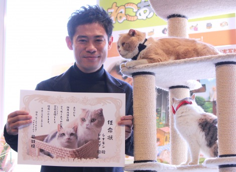 画像 写真 伊藤淳史 共演の 猫の手 に感謝 癒された 2枚目 Oricon News