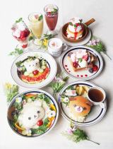 �`���C���C�R�O�}���ꏏ! �R�����b�N�}�J�t�F������I�[�v�� 