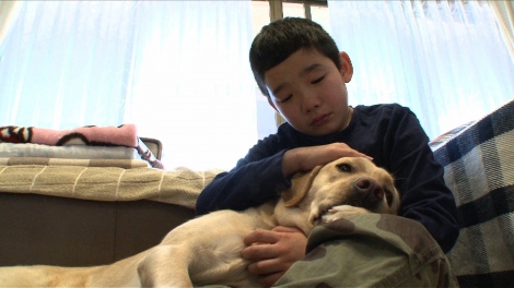 盲導犬候補の子犬 パピーウォーカーとの別れと旅立ちに密着 Oricon News