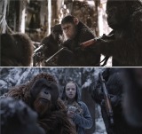 �\�����ʁg�l�Ԃ̑މ��h���c�@�f��w���̘f���F����L�x�\���� 