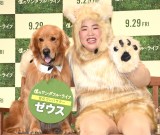 �����A���̒ʖ�ŃC�x���g�o���u���O�Ɂw���g���B�o�@�x��t���Ă悩�����v 