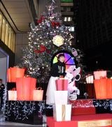 �č�R�E�A�ٗ�̓_������蒼������Áu������ƒx�ꂿ�Ⴂ�܂����ˁv 