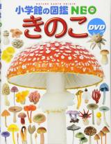 ���w�فA�w���̂��}�Ӂx�œł��u�H�p�v�ƌ�L�ځ@�Ӎ߂Ɖ���𔭕\ 