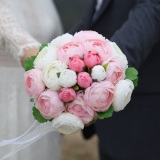 �����E���a�c�^�O�Y����A1�ΔN��̈�ʏ����ƌ��� 