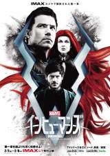 �w�}�[�x�� �C���q���[�}���Y�x���N2�E2�����f�A3����������E�z�M 