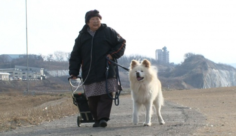 画像 写真 ぶさかわ犬 わさお 志村どうぶつ園 で最愛の飼い主の最後のメッセージ公開 2枚目 Oricon News