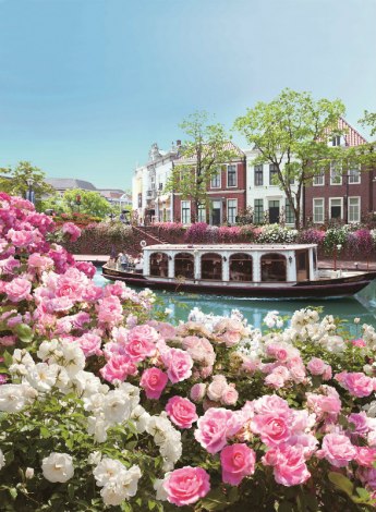 「バラの運河」では運河沿いの建物壁面にもバラが咲き誇る 
