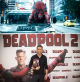 �ِF�q�[���[�g�f�b�h�v�[���h���C�A���E���C�m���Y�̗������� 