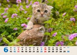 カレンダータイプの写真も毎月追加される 