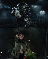 �w�U�E�v���f�^�[�x9�E14���ē������J���� �g���ɂ̃v���f�^�[�h�o��̗\������ 