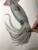 40�������ˏW�߂�h���ʂɂ��������Ȃ��h�H�e���E�C���X�g���[�^�[�������̂́u���������������v 