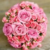 ���D�E�\�o�����q�A�����ƔD�P��񍐁u�[���[�����ӂ�\���グ�܂��v 