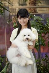 �e���r�����n���j�i�C�g�h���}�w�l�ƃV�b�|�Ɛ_�y��x�i10��12���X�^�[�g�j��2�b���o�ꂷ�鏗�D�̊쑽�T���iC�j�e���r���� 