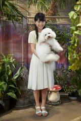 �e���r�����n���j�i�C�g�h���}�w�l�ƃV�b�|�Ɛ_�y��x�i10��12���X�^�[�g�j��2�b���o�ꂷ�鏗�D�̊쑽�T���iC�j�e���r���� 