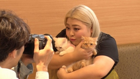 画像 写真 高橋一生 猫カフェを満喫 渡辺直美もメロメロ 緊張しちゃった 3枚目 Oricon News