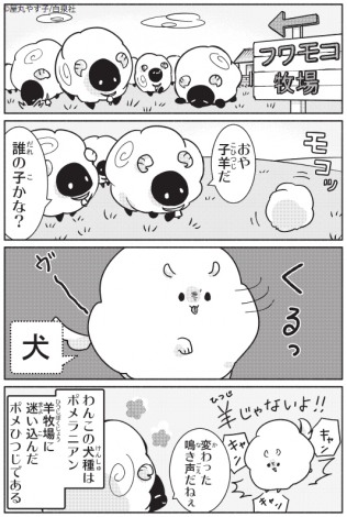 画像 写真 白泉社全誌合同の漫画投稿サイト19年早春開設 投稿者に自作の読者データ公開 5枚目 Oricon News